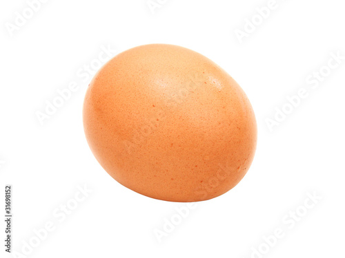 close up of egg on white background
