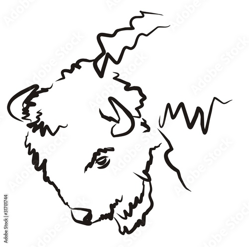 bison001