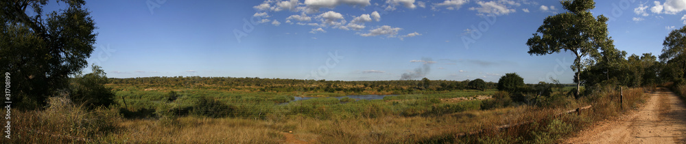 Panorama of bush land in South Africa