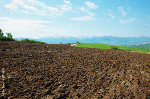 The plowed field