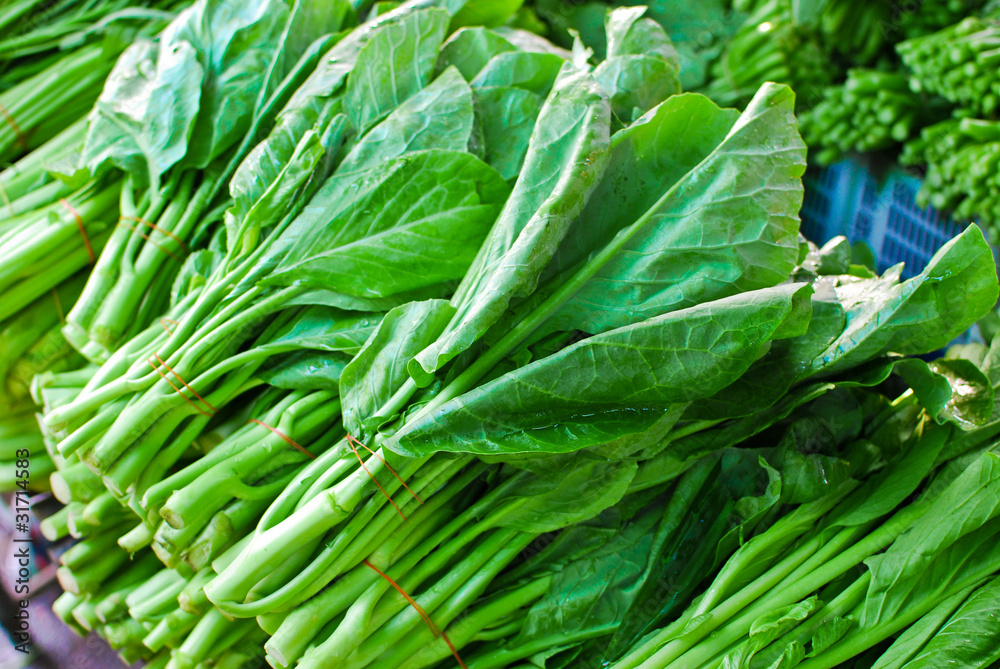 Fresh asian kale lettuce in market Fresh asian kale lettuce in market