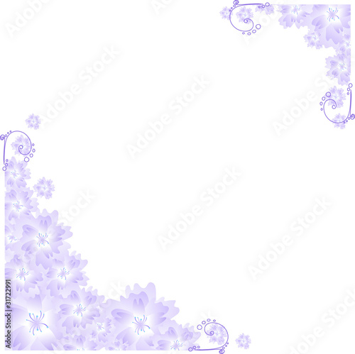 angular frame