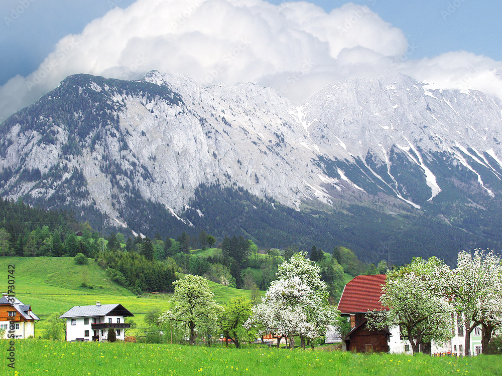 Австрия. Альпы. Весна