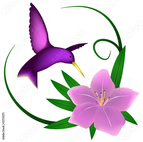 Hummingbird and lily