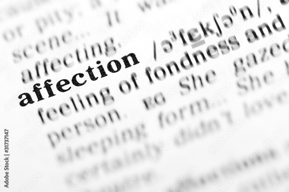 affection (the dictionary project) affection (the dictionary project)