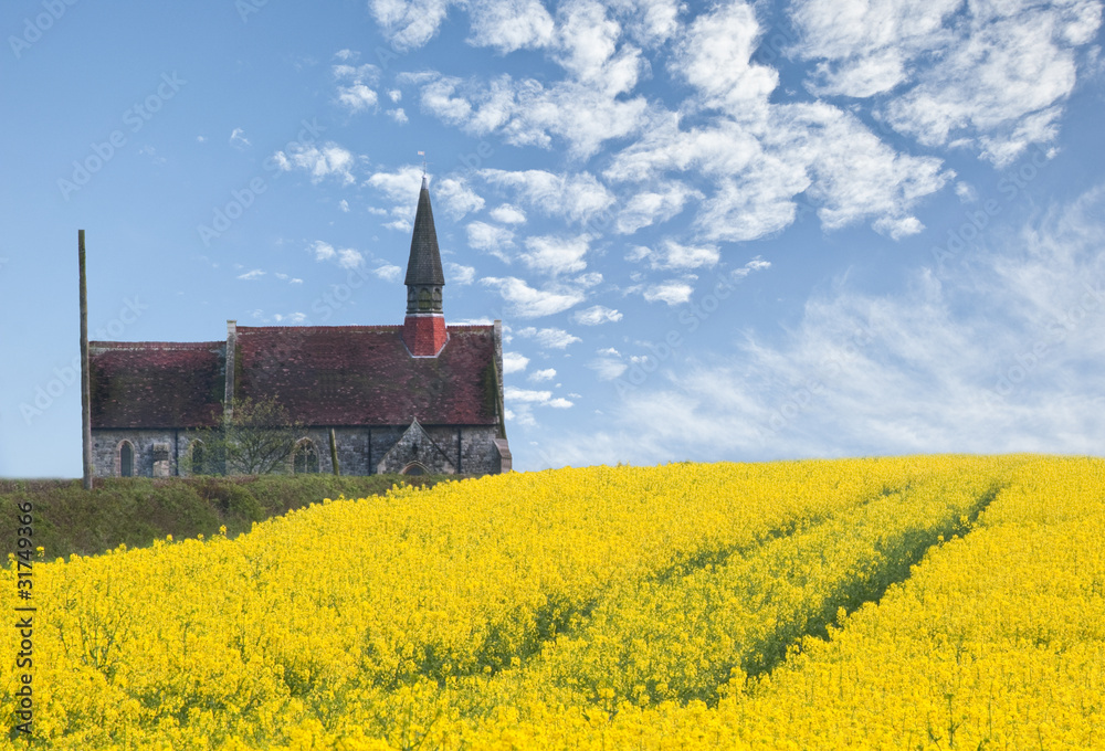 Rapeseed field leading up to ancient church with blue sky