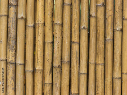 Fototapeta Naklejka Na Ścianę i Meble -  Bamboo Stick Pattern