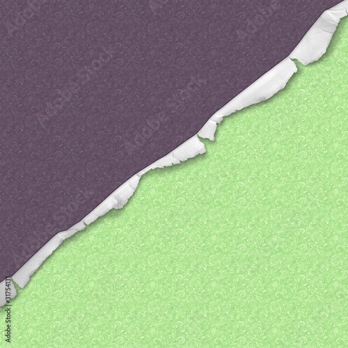 paier déchiré aubergine et anis