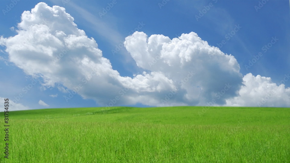 Blue sky with white clouds over green grass Blue sky with white clouds over green grass
