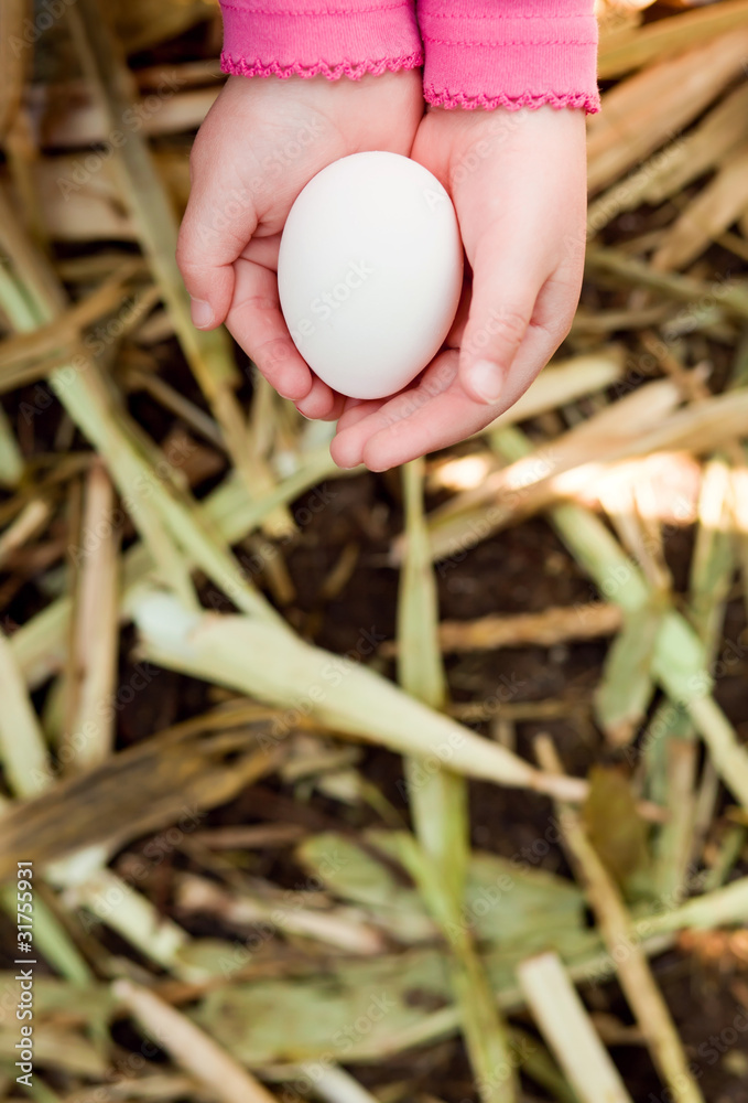 egg in child's hand