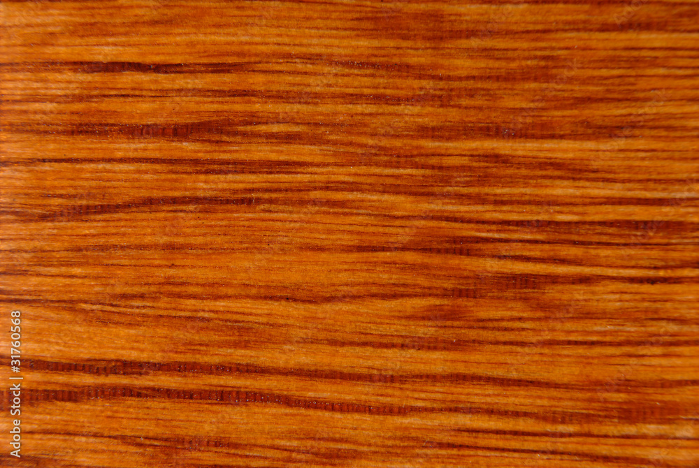Weaved Bamboo Fibers Weaved Bamboo Fibers