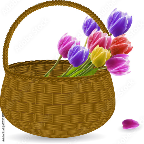 Tulips in a wicker basket
