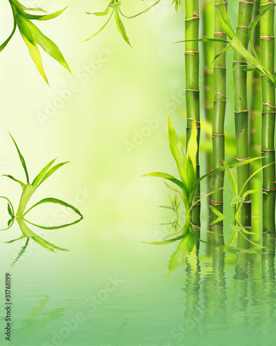 Fototapeta Naklejka Na Ścianę i Meble -  Bamboo reflected on water surface