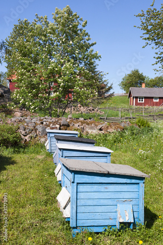 Bee hives © Lars Johansson