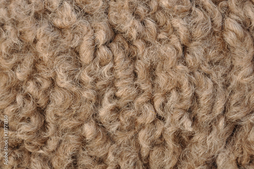 Obraz na płótnie Camel hair w salonie