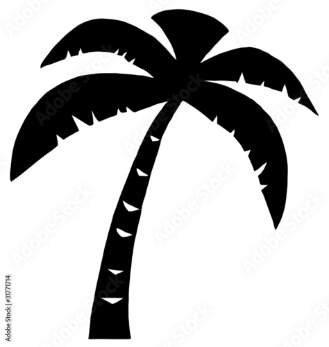 Black Palm Three Silhouette photo