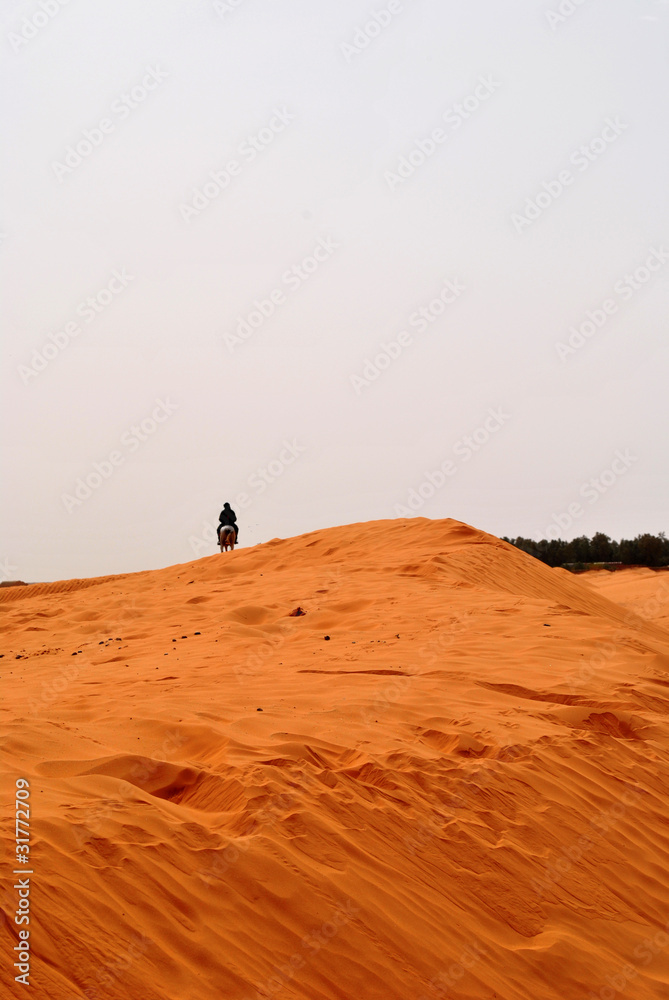 knight in the desert