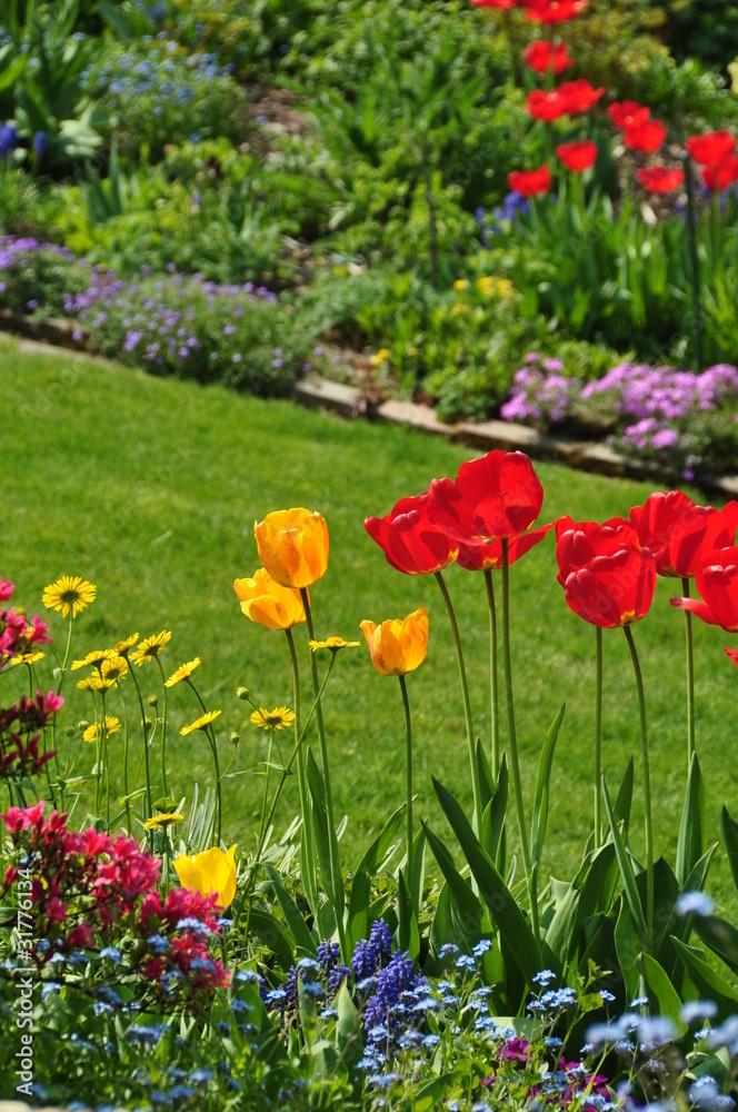 Fototapeta premium Frühlingsgarten im April