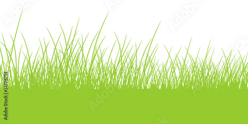 Gras