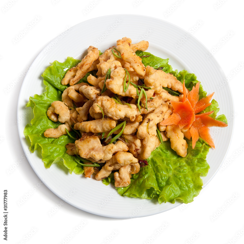 battered chicken on a plate battered chicken on a plate