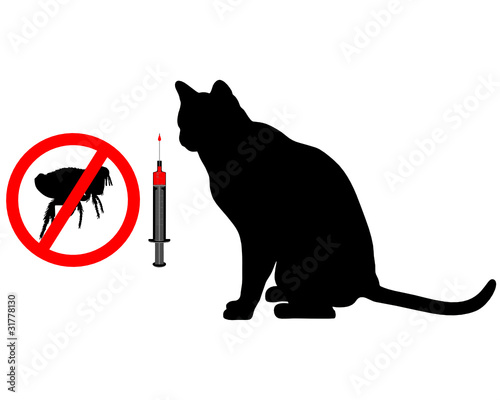 Katze Floh Impfung
