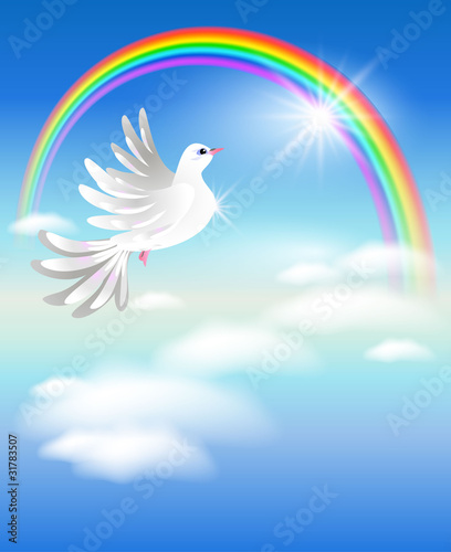 Pigeon and rainbow
