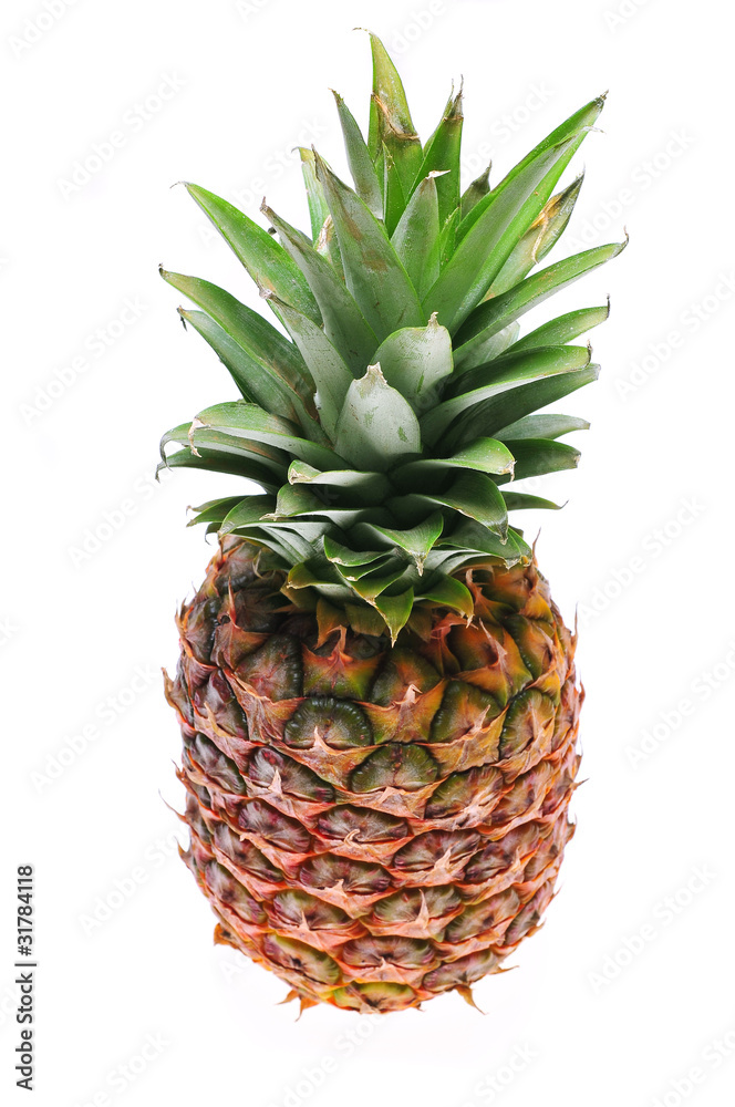 Fototapeta premium pineapple