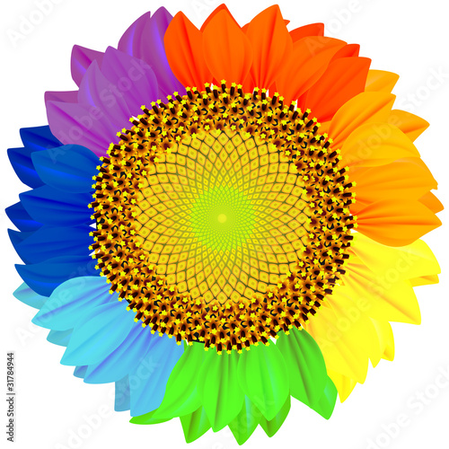 Fototapeta Naklejka Na Ścianę i Meble -  Sunflower with petals of different colors of the rainbow.