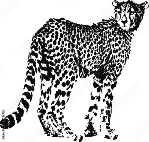 Leopard, big cat shaped from black spots - optical illusion. Illustration on white background.