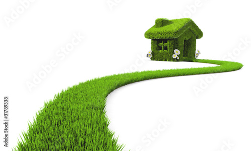 Sur le chemin d'une maison verte écologique
