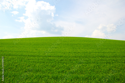 Grüne Wiese mit Himmel