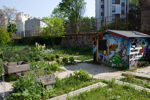 Jardin potager photo