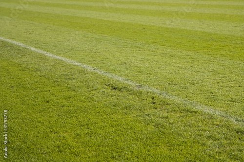 Cut grass on a soccer field