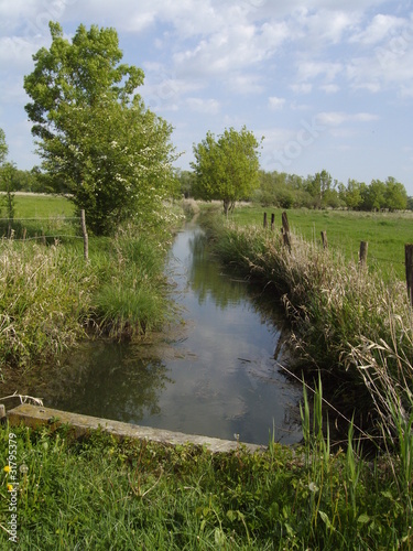 Marais des Gonds