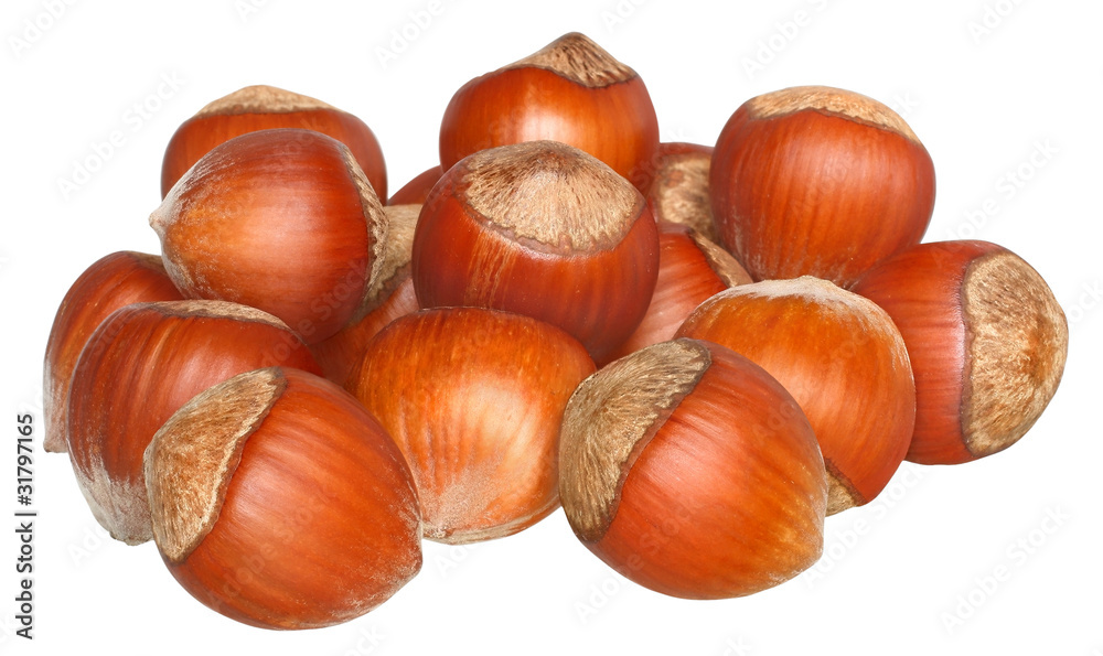 Hazelnuts. Hazelnuts.