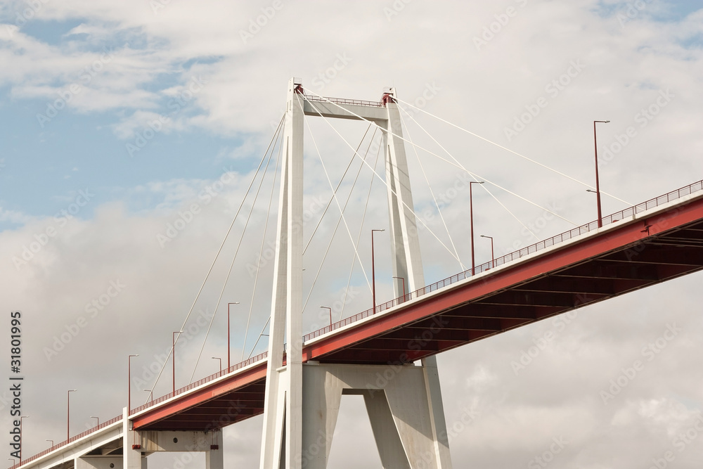 Edgar Cardoso Bridge