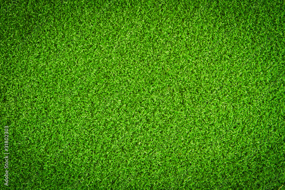 Obraz premium Green Grass Field
