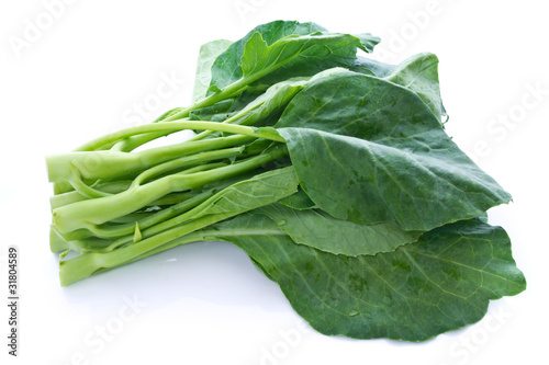 Chinese kale vegetable