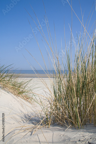 Fototapeta Naklejka Na Ścianę i Meble -  Dune landscape at the sea