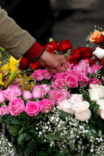 Mano che raccoglie una rosa