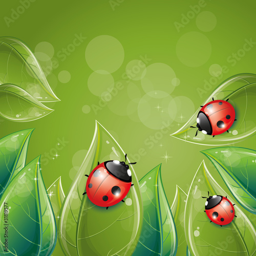 Green leaves design with ladybug