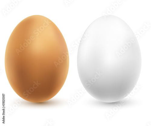 two chicken eggs