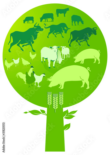 Natürliche Landwirtschaft