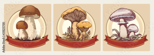 Edible mushrooms