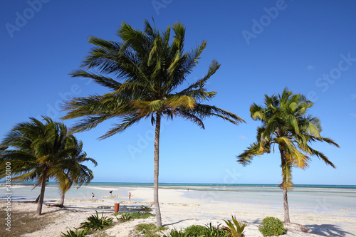Fototapeta Naklejka Na Ścianę i Meble -  Cuba - Cayo Guillermo beach