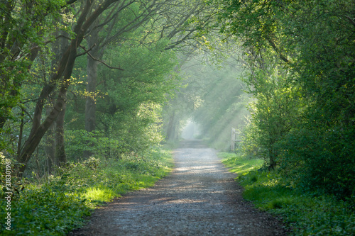 Countryside track and sunbeams photo