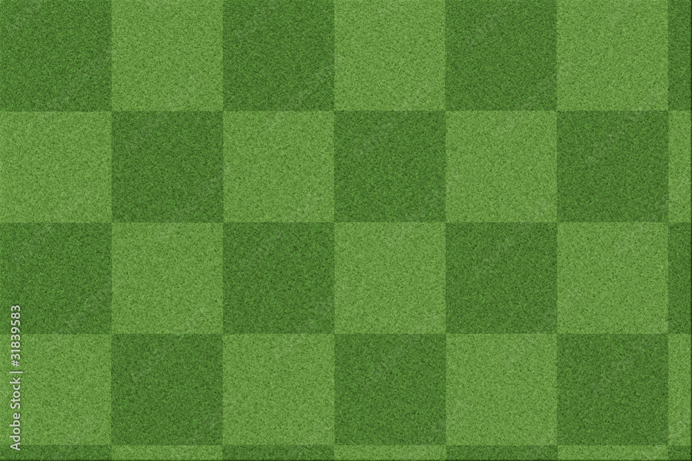 pattern on green grass