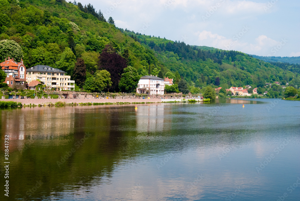 Heidelberg residential and Neckar river