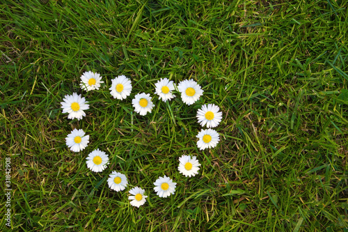 Fototapeta Naklejka Na Ścianę i Meble -  Rasen mit Herz aus Gänseblümchen
