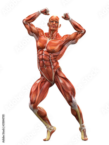 Obraz na plátně muscle man I got the power pose